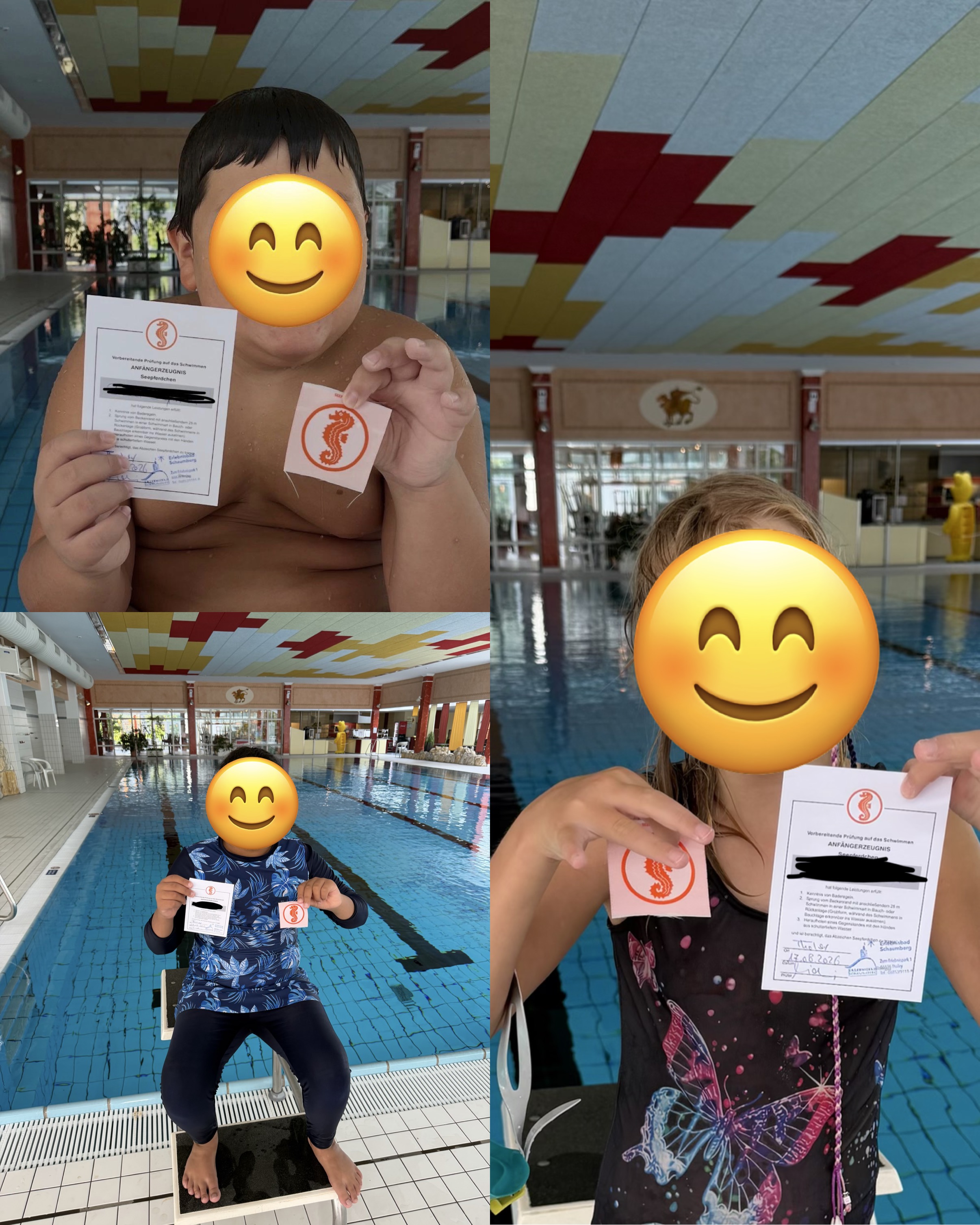 Stolze Seepferdchen Stolze Seepferdchen